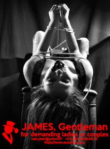 bdsm with a male escort gigolo copie