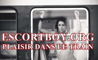 Plaisir dans le train avec un escort boy